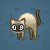 Scared Cat #12432 Scared Cat #12432