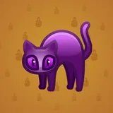 Scared Cat #12537 Scared Cat #12537