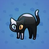 Scared Cat #12545 Scared Cat #12545