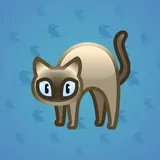 Scared Cat #12720 Scared Cat #12720