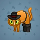 Scared Cat #12743 Scared Cat #12743