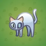 Scared Cat #12835 Scared Cat #12835