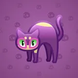 Scared Cat #12903 Scared Cat #12903