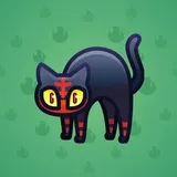 Scared Cat #13008 Scared Cat #13008