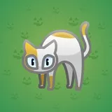 Scared Cat #13060 Scared Cat #13060