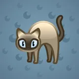 Scared Cat #13081 Scared Cat #13081
