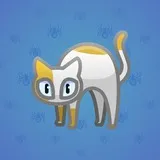 Scared Cat #13154 Scared Cat #13154