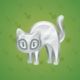 Scared Cat #13164 Scared Cat #13164