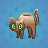 Scared Cat #13206 Scared Cat #13206