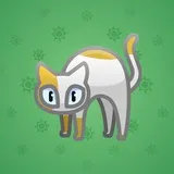 Scared Cat #1339 Scared Cat #1339