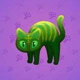 Scared Cat #13398 Scared Cat #13398