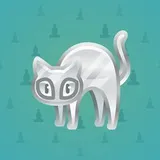 Scared Cat #13447 Scared Cat #13447