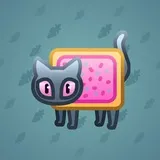 Scared Cat #13472 Scared Cat #13472