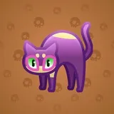 Scared Cat #13477 Scared Cat #13477