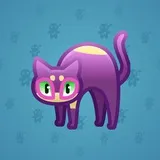 Scared Cat #13491 Scared Cat #13491
