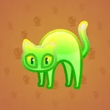 Scared Cat #13569 Scared Cat #13569