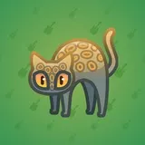 Scared Cat #13671 Scared Cat #13671