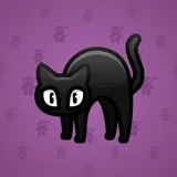 Scared Cat #13809 Scared Cat #13809
