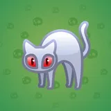 Scared Cat #13825 Scared Cat #13825