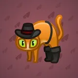 Scared Cat #13843 Scared Cat #13843