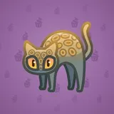 Scared Cat #13879 Scared Cat #13879