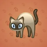 Scared Cat #13899 Scared Cat #13899