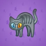 Scared Cat #13911 Scared Cat #13911