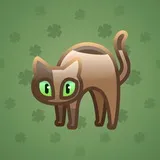 Scared Cat #13966 Scared Cat #13966