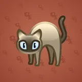 Scared Cat #14081 Scared Cat #14081