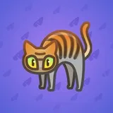 Scared Cat #14146 Scared Cat #14146
