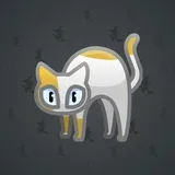 Scared Cat #14367 Scared Cat #14367