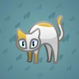 Scared Cat #14368 Scared Cat #14368