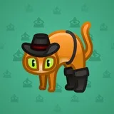 Scared Cat #14415 Scared Cat #14415