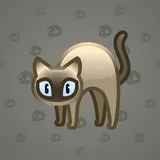 Scared Cat #14423 Scared Cat #14423
