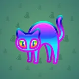 Scared Cat #14455 Scared Cat #14455