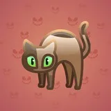 Scared Cat #14502 Scared Cat #14502