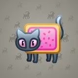 Scared Cat #14541 Scared Cat #14541