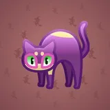 Scared Cat #14625 Scared Cat #14625