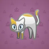 Scared Cat #14641 Scared Cat #14641