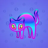 Scared Cat #14689 Scared Cat #14689