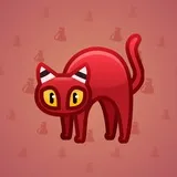 Scared Cat #14798 Scared Cat #14798
