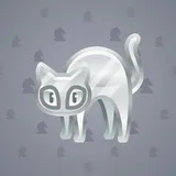 Scared Cat #14899