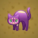 Scared Cat #14915 Scared Cat #14915