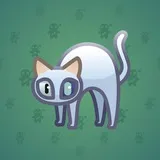 Scared Cat #14984 Scared Cat #14984