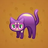 Scared Cat #15691 Scared Cat #15691