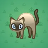 Scared Cat #15752 Scared Cat #15752