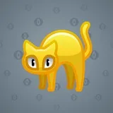 Scared Cat #15764 Scared Cat #15764
