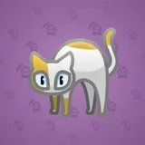Scared Cat #15766 Scared Cat #15766