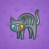 Scared Cat #1579 Scared Cat #1579