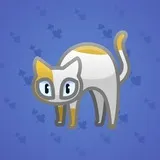 Scared Cat #15798 Scared Cat #15798